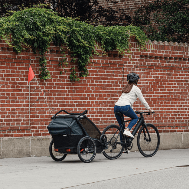 Thule Chariot Cab 2 vežimėlis